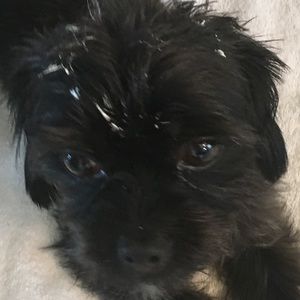 Meet your Posher, Cheryl